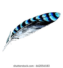 Blue Jay Feather Hd Stock Images Shutterstock