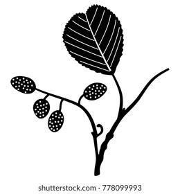 Isolated vector illustration. Black silhouetted branch of alder tree. Simple floral element.