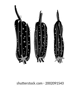 Ilustración vectorial aislada conjunto de diseño en blanco y negro de pepinos abstractos decorativos. El diseño es perfecto para pegatinas, insignias, logotipos, decoraciones, ilustraciones