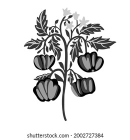 Isolated vector illustration black and white design set of decorative abstract tomatoes on bush. The design is perfect for stickers, badges, logos, decorations, illustrations