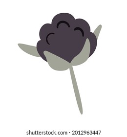 Isolated vector illustration of a blackberry for decoration
