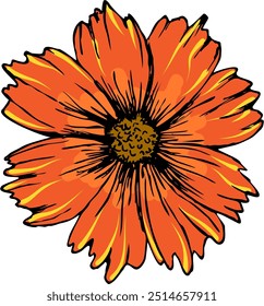 Isolated vector illustration. Black-Eyed Susan flower. Gloriosa Daisy blossom. Dwarf Marmalade. Rudbeckia hirta.