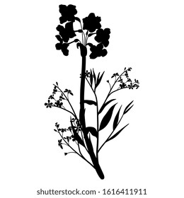 Isolated vector illustration. Bouquet of spring flowers. Branches of forget-me-not and narcissus or daffodil blossom. Black silhouette on white background.