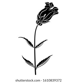 Isolated vector illustration. Branch of bell flower. Campana Lilac Campanula. Black and white silhouette.