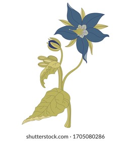 Isolated vector illustration. Branch of borage flower. Borago officinalis. Starflower plant.