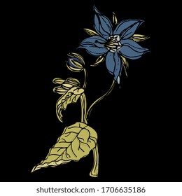 Ilustración vectorial aislada. Rama de flor de borage. Oficiales de Borago. Planta de estribor. Dibujo colorido hecho a mano.