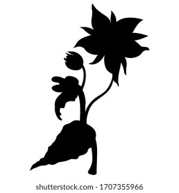 Ilustración vectorial aislada. Rama de flor de borage. Oficiales de Borago. Planta de estribor. Silueta negra sobre fondo blanco.