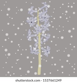 Isolated vector illustration. Branch of hyacinth flower under snowflakes.