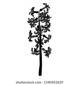 Isolated vector illustration. Branch of hyacinth flower. Black and white silhouette.