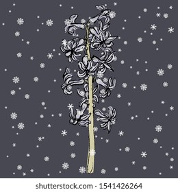 Isolated vector illustration. Branch of hyacinth flower under snowflakes. Hand drawn monochrome sketch.