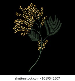 Isolated vector illustration. Branch of mimosa plant. Based on vintage image. 
