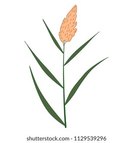 Isolated vector illustration. Branch of stylized reed or cane plant.