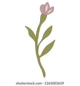 Isolated vector illustration. Branch of stylized wild flower. Vintage style.