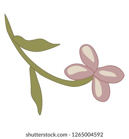 Isolated vector illustration. Branch of stylized wild flower. Vintage style.