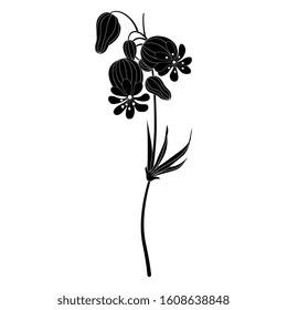 Isolated vector illustration. Branch of white campion flower. Silene latifolia. Black and white silhouette.