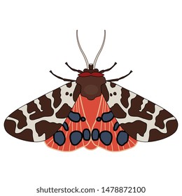 Isolated vector illustration of a butterfly. Garden tiger moth. Arctia caja. 