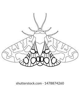 Isolated vector illustration of a butterfly. Garden tiger moth. Arctia caja. Black and white linear silhouette.