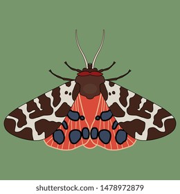 Isolated vector illustration of a butterfly. Garden tiger moth. Arctia caja. On green background.