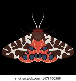 Isolated vector illustration of a butterfly. Garden tiger moth. Arctia caja. On black background.