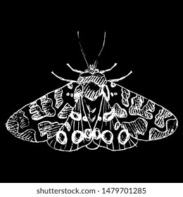Garden Tiger Moth Images Stock Photos Vectors Shutterstock