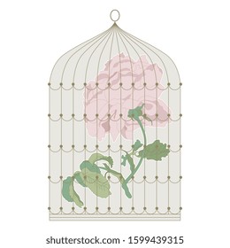 Isolated vector illustration. Caged rose. Romantic emblem. Beautiful flower in golden cage.