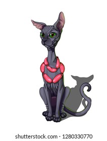 Isolated vector illustration of a cartoon sphynx cat with a sausage collar