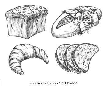 Isolated vector illustration of cereal food or bread. Loaf with grain and croissant, kringle with ropes and cutted bun. Flour and dough product. Multigrain snack. Breakfast or dinner, harvest theme