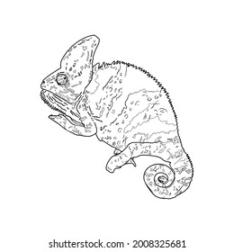 Isolated vector illustration of chameleon line for coloring. Exotic pets. Vector illustration for coloring book, t-shirt, textile, packaging, wallpaper, interiors, logo, bed, stickers