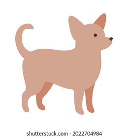 Isolated vector illustration of a Chihuahua dog