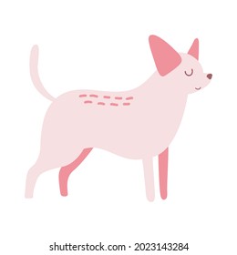 Isolated vector illustration of a Chihuahua dog