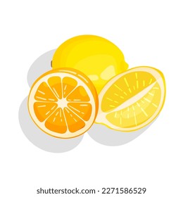 Isolated vector illustration of citrus fruit lemons and orange halves. Composition in bright realistic style.