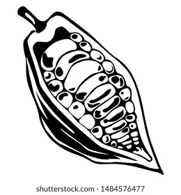 Isolated vector illustration. Cocoa bean pod. Black and white silhouette.