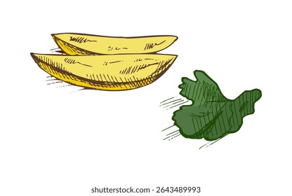 Isolated vector illustration of crispy potato wedges with a fresh parsley leaf. Hand drawn in vintage engraving style with color fill. Perfect for culinary design, food packaging