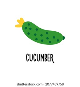 Isolated vector illustration of cucumber. Flat design
