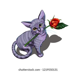 Isolated vector illustration of a cute kitty cat with rose in its mouth.