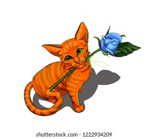 Isolated vector illustration of a cute kitty cat with rose in its mouth.