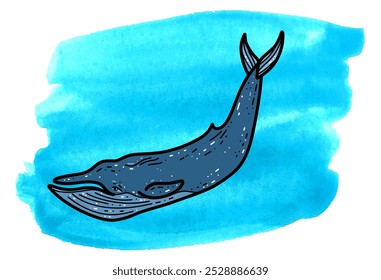 Isolated vector illustration dark blue whale on white background. Flat cartoon style for printing, design, sale, banner