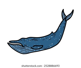 Isolated vector illustration dark blue whale on white background. Flat cartoon style for printing, design, sale, banner
