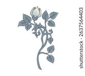 Isolated vector illustration of a decorative floral motif in the style of William Morris. Vintage-inspired design with elegant lines and muted colors. Perfect for prints, textiles, and patterns.