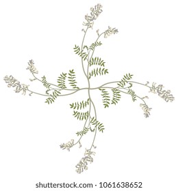 Isolated vector illustration. Decorative floral cross made of four Astragalus plant branches. (Phaca Australis). Vintage style.
