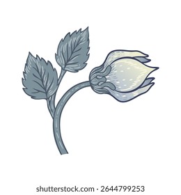 Ilustração vetorial isolada de um motivo floral decorativo no estilo de William Morris. Design inspirado em vintage com linhas elegantes e cores suaves. Perfeito para impressões, tecidos e padrões.