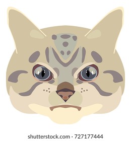 Isolated vector illustration of a domestic cat face with blue eyes. Cartoon style. 
