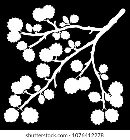Isolated vector illustration of a dwarf birch branch. White silhouette on black background.