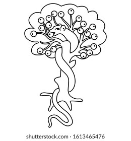 Isolated Vector Illustration. Eden Tree Of Life With Snake And Apples. Biblical Metaphor For Sin And Knowledge. Black And White Linear Silhouette.