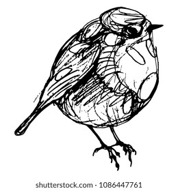 Isolated vector illustration of a European robin (Erithacus rubecula) or redbreast bird. Based on hand drawn linear ink sketch. Black silhouette on white background. Doodle style.