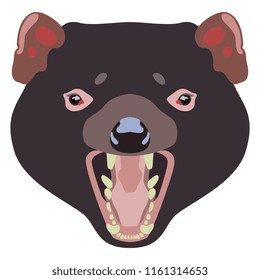 Isolated vector illustration. Face of Tasmanian devil with open jaws. (Sarcophilus harrisii). Flat cartoon style.
