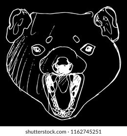Isolated vector illustration. Face of Tasmanian devil with open jaws. (Sarcophilus harrisii). Hand drawn linear sketch. White silhouette on black background.