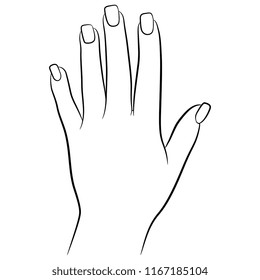 Hand Outline Female Stock Vectors Images Vector Art Shutterstock