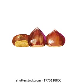 Isolated vector illustration of a few scattered chestnuts. Open chestnut prickles. Hand painted watercolor background. Concept for autumn.