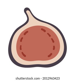 Isolated vector illustration of a fig for decoration